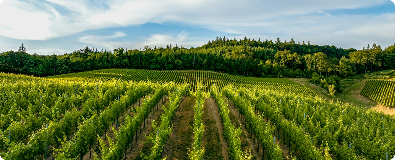 Complete Guide to Crop Protection in 2026